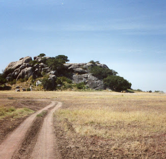 Serengeti